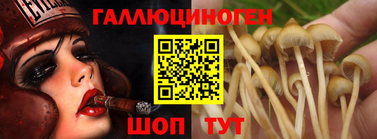 Псилоцибиновые грибы Psilocybe  Вход с VPN  Волоколамск  Галлюциногенные грибы прущие грибы 